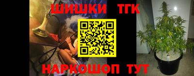apvp Гатчина