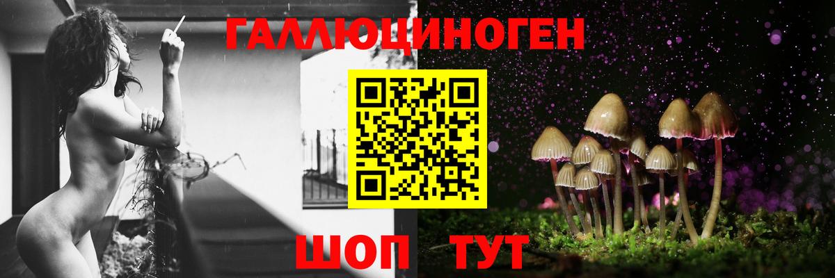 Ржев  где можно купить   Вход с VPN  Псилоцибиновые грибы Magic Shrooms 